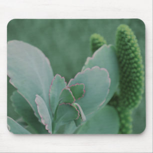 Desert Plants Mouse Pad