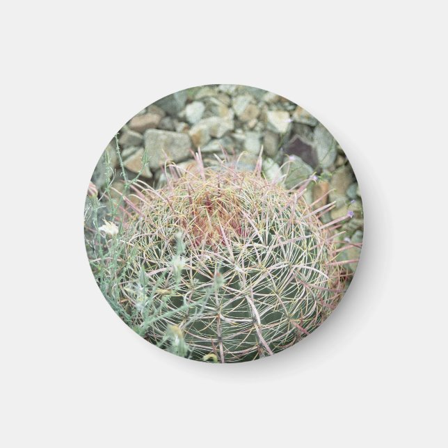Desert Poetry Cactus Refrigerator Gift Magnet (Front)