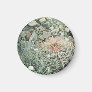 Desert Poetry Cactus Refrigerator Gift Magnet
