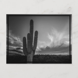 Desert Postcard