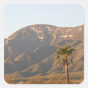Desert ranch landscape near Monterey, Mexico. Square Sticker