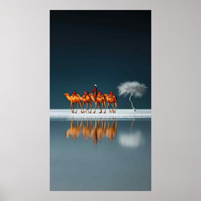 Desert Reflections Poster (Front)