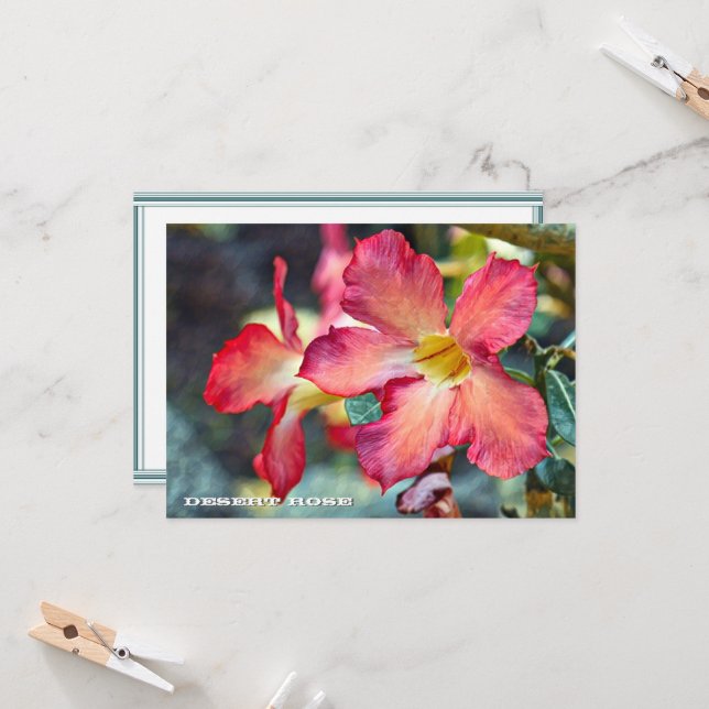 Desert Rose: Flat Card (Front/Back In Situ)