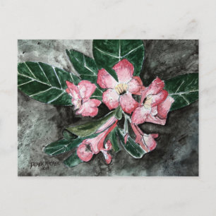 Desert rose flower painting postcard