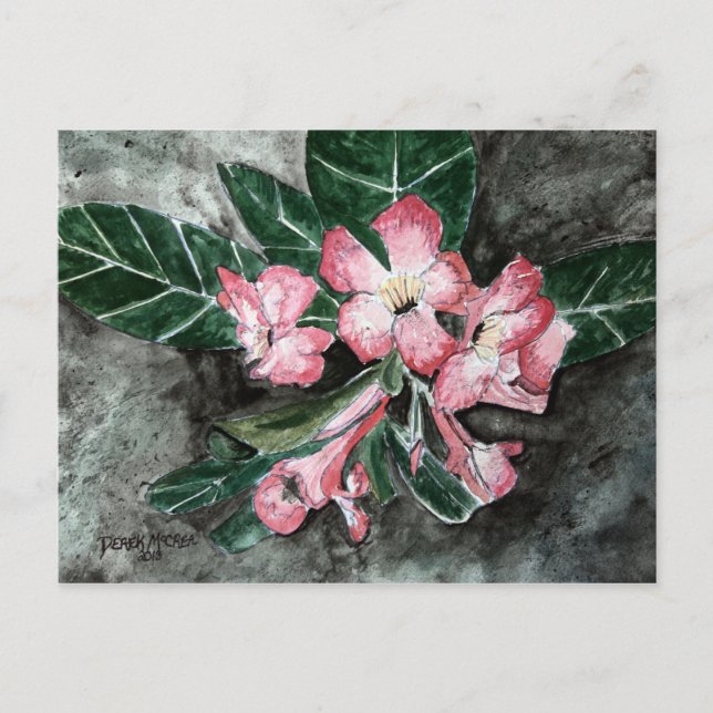 Desert rose flower painting postcard (Front)