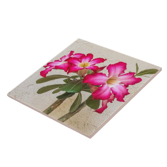 Desert Rose Flowers Ceramic Tile (Side)