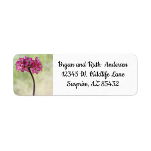 Desert rose in pink return address label