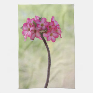 Desert rose in pink tea towel