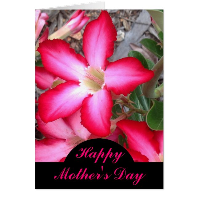 Desert Rose Mother's Day card (Front)