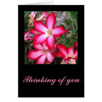 Desert Rosereeting card