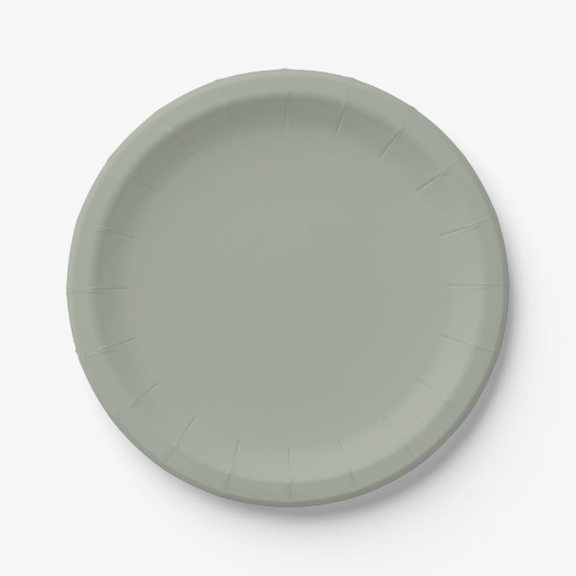 Desert Sage Solid Colour Paper Plate (Front)