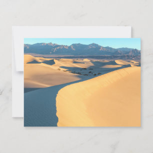 Desert Sand Dunes at Sunrise Postcard