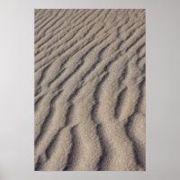 Desert sand ripples