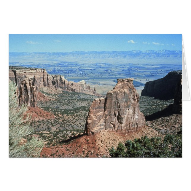 Desert Scene (Front Horizontal)