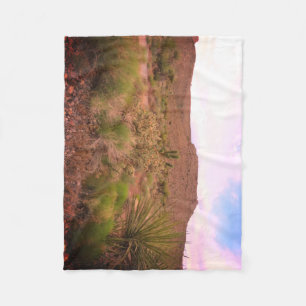 Desert Scene Fleece Blanket