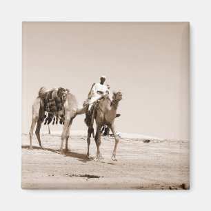 Desert Scene Magnet