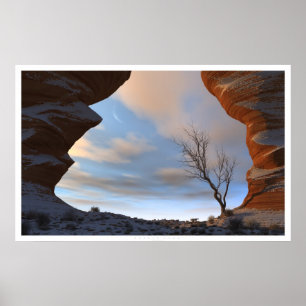 Desert Snow Poster