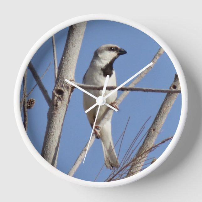 Desert Songbird on a Winter Branch Clock (Front)