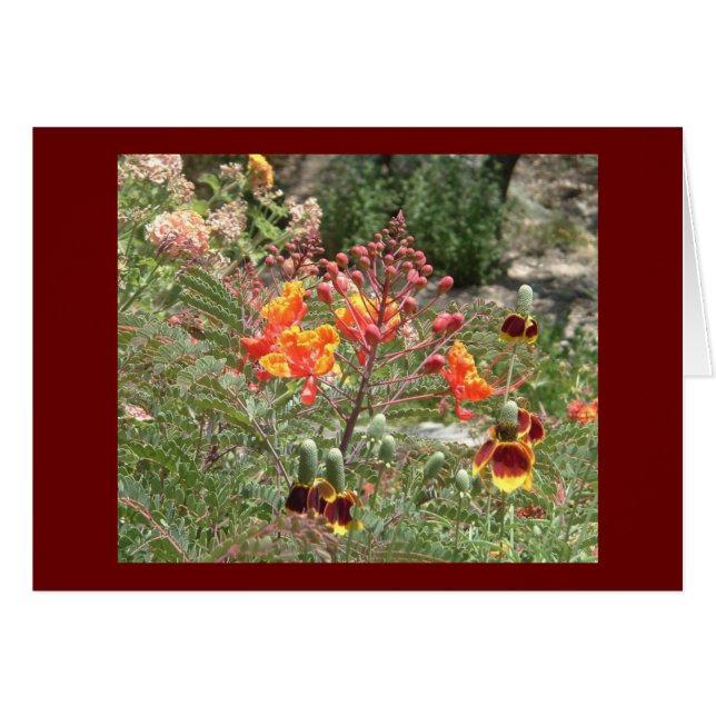 Desert southwest flowers (Front Horizontal)