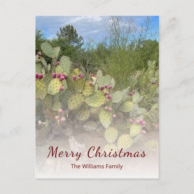 Desert Southwest Prickly Pear Cactus Christmas Holiday Postcard (Front)