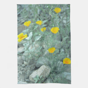 Desert Spring Southwest Cotton Kitchen Towels