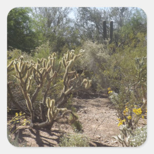 Desert Square Sticker