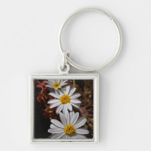 Desert Star Wildflowers Key Ring