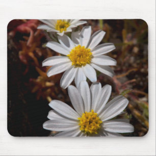 Desert Star Wildflowers Mouse Pad