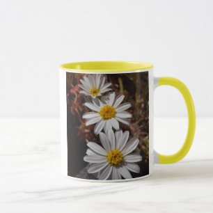 Desert Star Wildflowers Mug