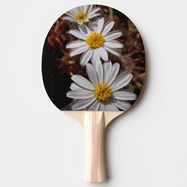 Desert Star Wildflowers Ping Pong Paddle (Front)