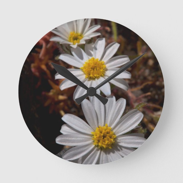 Desert Star Wildflowers Round Clock (Front)