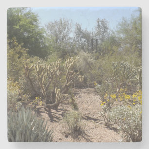 Desert Stone Coaster