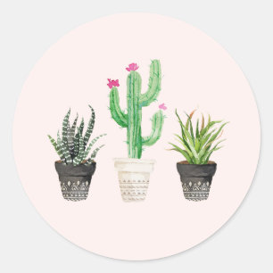 Desert Succulent Cactus Favour Stickers - Pink