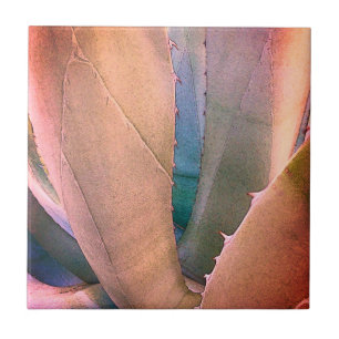 Desert Succulent Ceramic Tile