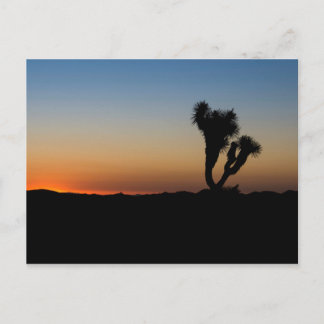 Desert Sunrise Postcard