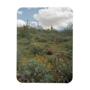 Desert Symphony Decorative Desert Magnet