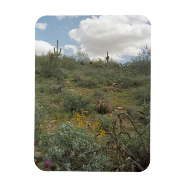 Desert Symphony Decorative Desert Magnet (Vertical)