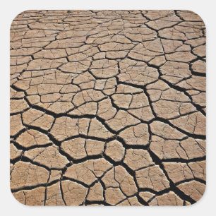 Desert Texture Square Sticker