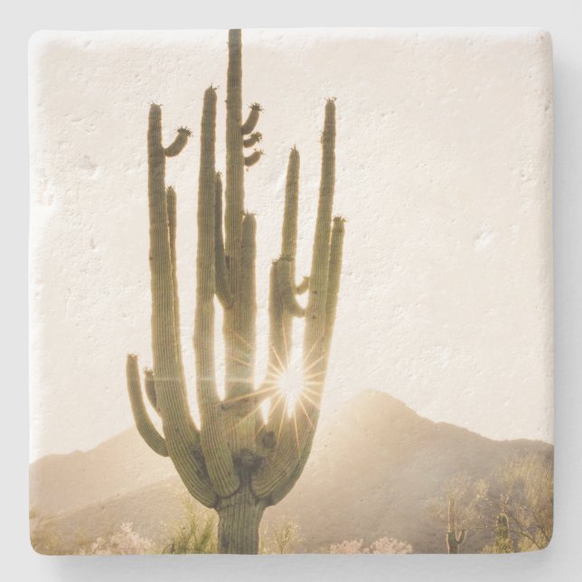 Desert Themed Coasters with Cactus Photo (Front)