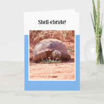 Desert Tortoise Folded Birthday Card