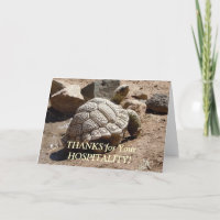 Desert Tortoise - Hospitality Thank You