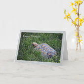 Desert Tortoise in Green Grass Greeting Card (Yellow Flower)