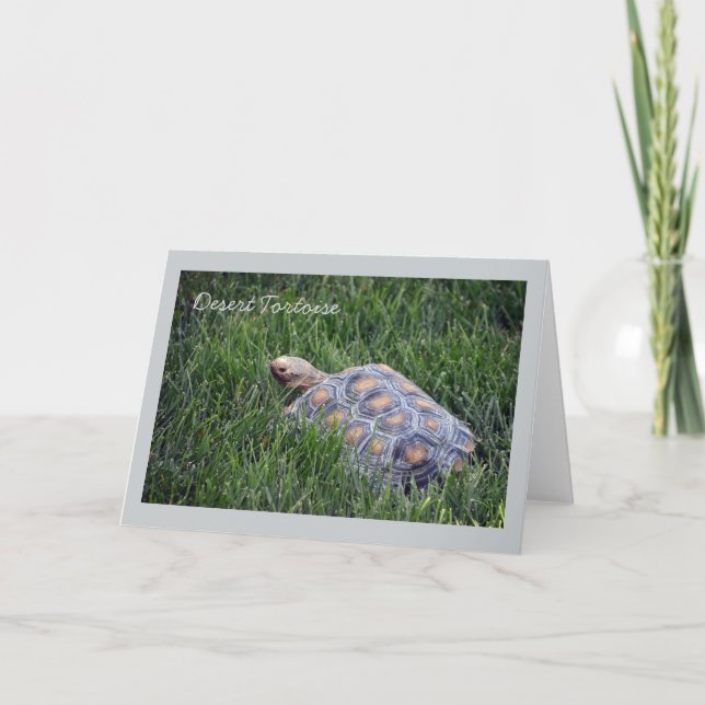 Desert Tortoise in Green Grass Greeting Card (Front)
