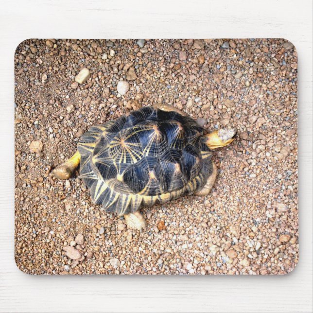 desert tortoise mouse pad (Front)