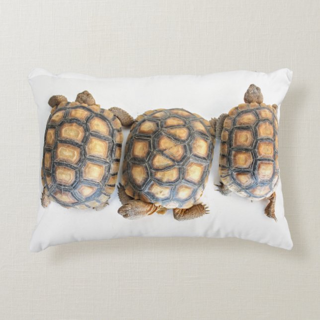 Desert Tortoise / Turtle Pillow (Front)