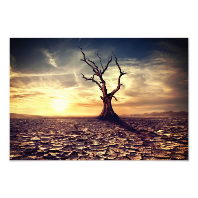 Desert Tree Photo Print (Front)