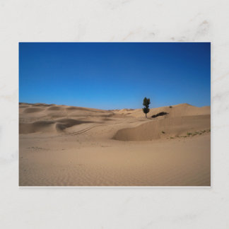 Desert Tree Postcard