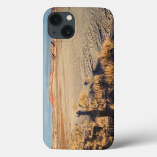 Desert Wave: Petrified Forest National Park iPhone 13 Case