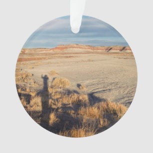 Desert Wave: Petrified Forest National Park Ornament