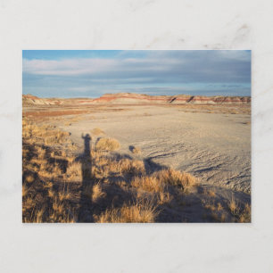 Desert Wave: Petrified Forest National Park Photo Postcard
